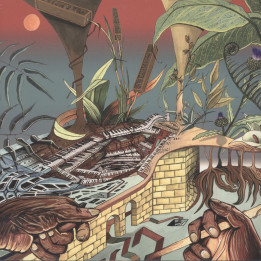 Nu Guinea - The Tony Allen Experiments
