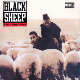 Black Sheep - A Wolf In Sheep's Clothing