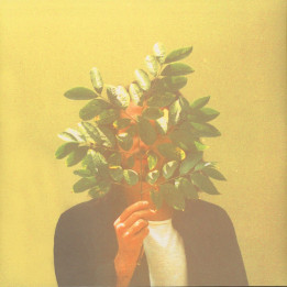 FKJ - French Kiwi Juice