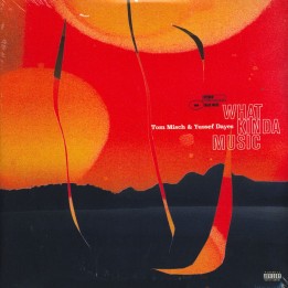 Tom Misch x Yussef Dayes - What Kinda Music
