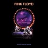 Pink Floyd - Delicate Sound Of Thunder (Remixed and Reissued)
