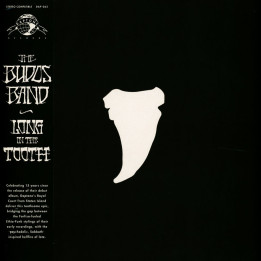 Budos Band - Long In The Tooth