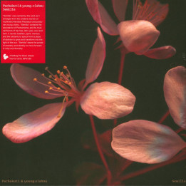 Pachakuti & young.vishnu - Semilla