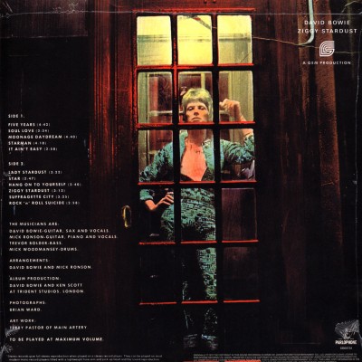 the-rise-and-fall-of-ziggy-