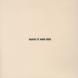 Arctic Monkeys - Suck It And See