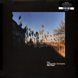 The Cinematic Orchestra - Ma Fleur (Clear Vinyl)