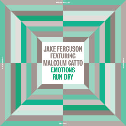 Jake Ferguson feat. Malcolm Catto - Emotions Run Dry