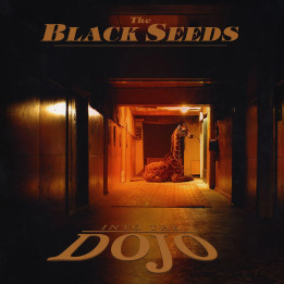 The Black Seeds - Into The Dojo