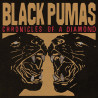 Black Pumas - Chronicles Of A Diamond (прозрачен винил)