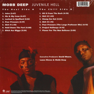 Mobb Deep - Juvenile Hell