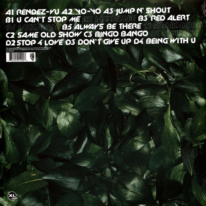 Basement Jaxx - Remedy