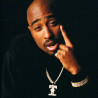 Makaveli vinyl records by MyVinyl