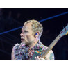 Flea