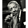 Sonny Boy Williamson vinyl records by MyVinyl