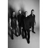 Disturbed vinyl records by MyVinyl