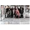 Squirrel Nut Zippers vinyl records by MyVinyl