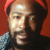 Marvin Gaye vinyl records by MyVinyl