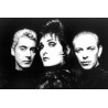 Siouxsie & The Banshees vinyl records by MyVinyl