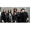 Aerosmith vinyl records by MyVinyl