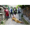Nouvelle Vague vinyl records by MyVinyl