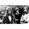 Pink Floyd vinyl records by MyVinyl