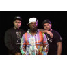 Jamo Gang vinyl records by MyVinyl