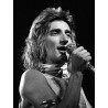 Rod Stewart vinyl records by MyVinyl