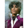Prince vinyl records by MyVinyl